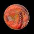 Lalique serpent amber glass brooch with red foil and whitish patina in gilt mount stamped hallmark lalique 1 34 dia