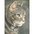 Cat portrait oil on panel of a tabby framed 20th c signed carolyn droge 12 x 9
