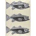 Andy warhol american 19281987 fish 1983 screenprint in colors on wallpaper framed estate stamp 41 x 29 sight literature feldmanschellman iiia 39 printer rupert jasen smith new yo