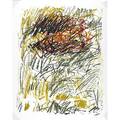 Joan mitchell american 19261992 flower iii from the bedford series 1981 lithograph in colors framed signed and numbered 270 42 12 x x 32 12 sheet publisher tyler graphics ltd new