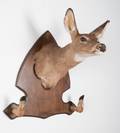 Taxidermy Doe Head and Hooves Gun Rack