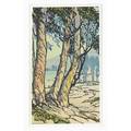 Frances h gearhart color linoleum block print of a eucalyptus grove ca 1924 matted pencil signed image 9 12 x 5 12