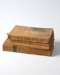 A Collection of Five 5 Antique Ledgers