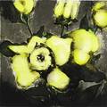 Donald sultan american b 1951 yellow roses april 1992 screenprint in colors framed initialed dated titled and numbered 40125 22 78 x 22 sheet provenance private collection new yo