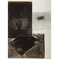 Robert rauschenberg american 19252008 razorback bunch etching i 1980 photo etching in colors signed dated and numbered 2424 29 14 x 22 publisher ulae new york provenance private c