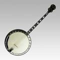 Vega vip 4string banjo 13 12 x 34 12