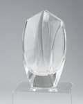 A Baccarat Vase