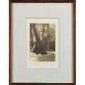 Edward curtis three photogravures after the snow tsatsalaltsaquilcene and a hesquiat belle mounted in handsome arts  crafts frames all signed and titled in print 9 58 x 6 14 sight