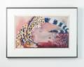Genet Pencil Signed Print by Marsha Heatwole