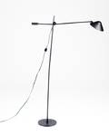 An Adjustable Floor Lamp