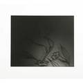Barbara ess american b 1948 untitled 1996 gelatin silver print signed and numbered 2025 8 34 x 7 18 image 15 14 x 13 18 sheet provenance private collection new york