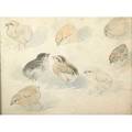 Alice barber stephens american 18581932  henry louis stephens american 18241882 three watercolor and pencil illustrations framed chicks and dancing frog signed hl stephens and