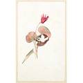 Jane byrd mccall whitehead american 18611955 botanical study cyclamen watercolor on paper ca 1898 matted and framed unsigned sheet 8 34 x 5 14 note from a signed portfolio of waterc