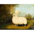 Amos shontz american 20th c oil on canvas white ram framed signed 19 x 25