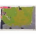 Larry poons american b 1937screenprint in colorsconspiracy the artist as witness 1971 framedsigned and numbered1934 x 2678 inches sheet