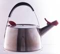 Michael Graves Design Teapot