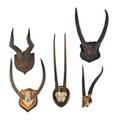 Five sets of horns four antelope and one red hartebeest one signed and dated madrid 1962 largest 16 x 14 12 x 25 provenance neal auction company la 1994