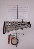 Xylophone with Case