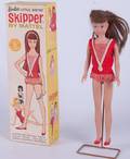 Barbies Little Sister Skipper Doll by Mattel