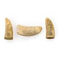 Whale teeth scrimshaw three three masted schooner aphrodite and a one man band marked robert green 19th20th c longest 5