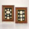 Italian intagios various oval intaglios framed in two matching shadow boxes 19th c unmarked 12 12 x 9 12 x 1 34