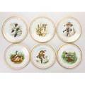 Boehm lennox complete set of eight boehm water bird collectors plates and one lenox limited edition commemorative plate 1977 trenton nj and kinston nc late20th c  bone porcelain original