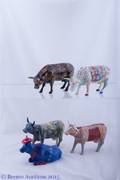 Cow Parade Collection Set of Five 5