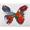 Damien hirst british b 1965 butterfly spin painting created at damien hirst spin workshop 2009 acrylic on paper framed bears hirst blindstamp and stamped with signature and inscription th