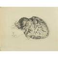 Leonard tsugoharu foujita japanesefrench untitled from a book of cats 1929 five lithographs on arches paper 10 14 x 7 34 plate 12 78 x 10 sheet each publisher covicifriede new y