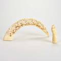 Asian two pieces carved ivory 20th c tusk with detailed landscape of village life and stylized partial figural unmarked larger 5 12 x 12 12 x 2