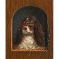 20th c british school portrait of dog oil on canvas of spaniel framed 15 12 x 12 12