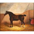 James clark  son british fl 18581909 oil on canvas portrait of horse reality framed signed 20 x 24