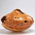 Jerry wedekind large aspen burl hollow turning colorado 1993 signed and dated 14 14 x 16 12 dia