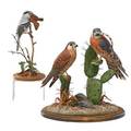 Contemporary folk art carved bird sculptures two by al riehl loggerhead shrike and pair of kestrels 2004 and 2006 both signed and dated larger 15 x 12 x 10