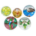Studio art glass paperweights five one randall grubb studios vine dome one caithness scotland faceted swan two bird domes and one floral dome 20th c grubb and caithness signed largest 3 12