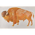 Don nice american b 1932 lithograph in colors of a buffalo 1976 printed by landfall press inc chicago signed and dated 31 34 x 48