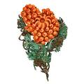 Stephen dweck carved coral silver  brass brooch