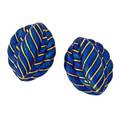 David webb blue enameled 18k gold earrings