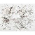 Julie mehretu american b 1970