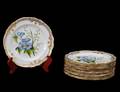 SET OF TWELVE SPODE PORCELAIN SALAD PLATES