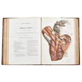 Jean baptiste marc bourgery atlas of anatomy