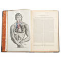 Joseph maclise medical volumes