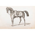 19th c equestrian studies book