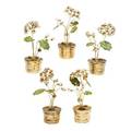 Five gorham enameled sterling geranium plants