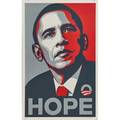 Shepard fairey american b 1970