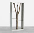 Andrea Branzi   Piccolo Albero bookcase