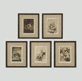 Francisco Goya   collection of five works from Los Caprichos