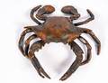 PATINATED BRONZE CRAB INKWELL