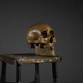 19th Century   skull