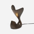 Jordan Mozer   Pitcher Plant lamp